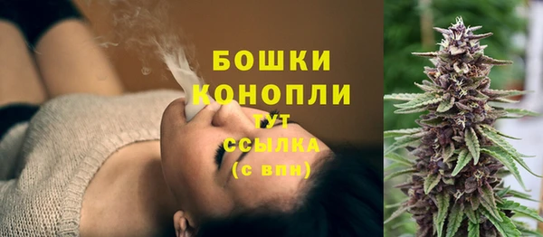 стаф Ельня