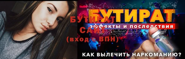 стаф Ельня