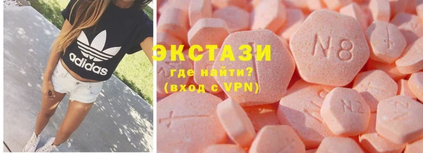 стаф Ельня
