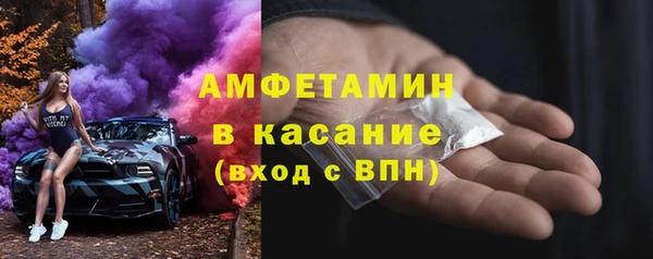 стаф Ельня