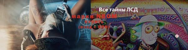 ГАЛЛЮЦИНОГЕННЫЕ ГРИБЫ Елизово