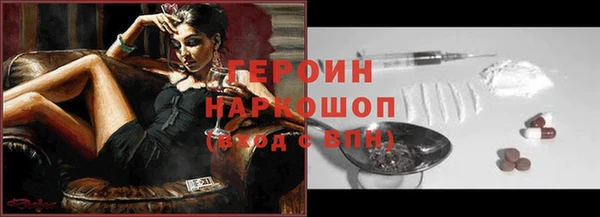 стаф Ельня