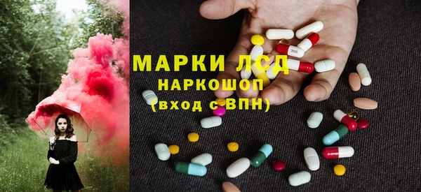 стаф Ельня
