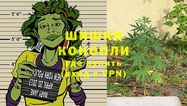 стаф Ельня