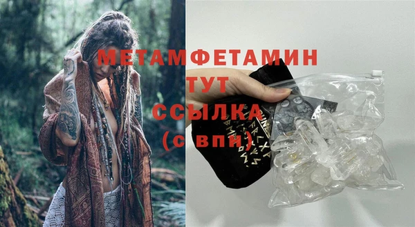 стаф Ельня