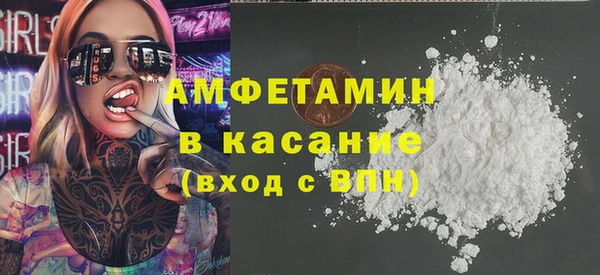 стаф Ельня