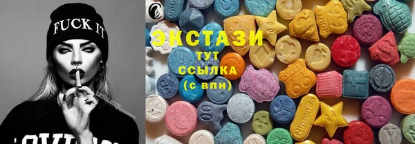 стаф Ельня