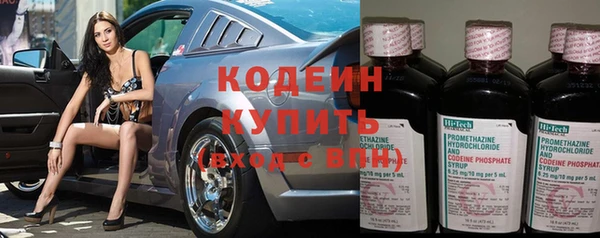стаф Ельня