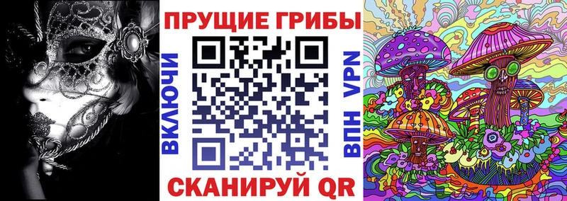 Купить закладки  Клинцы  Галлюциногенные грибы мухоморы 
