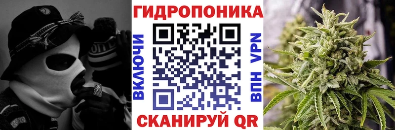 Конопля OG Kush Клинцы